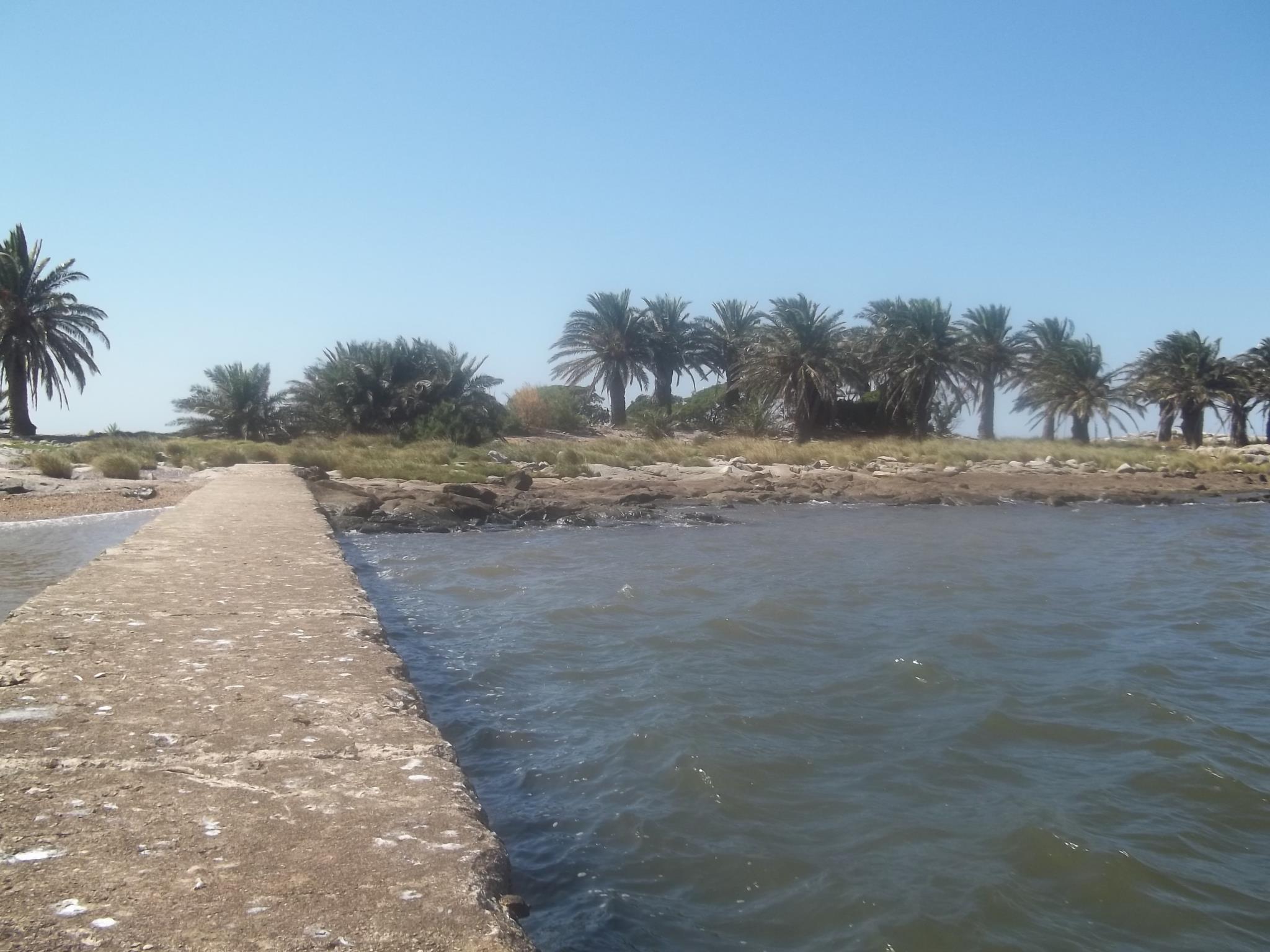 La Isla de las Gaviotas